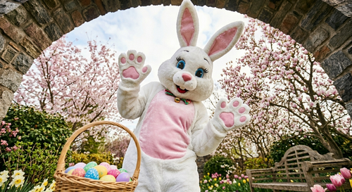 Classic White Easter Bunny Costume
